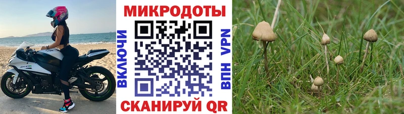 закладка  Мценск  Галлюциногенные грибы ЛСД 